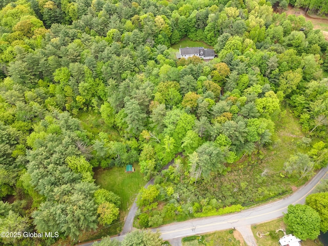 76 Barney Rd, Greenfield, NY 12850 - aerial view of a heavily wooded area