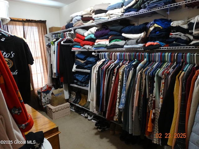 walk in closet with carpet