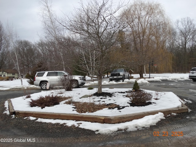 view of yard layered in snow