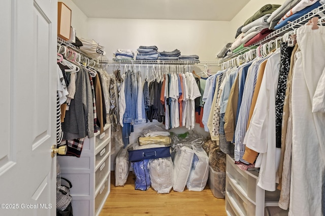 walk in closet with wood finished floors