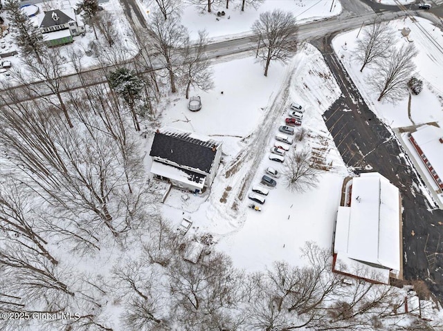 view of snowy aerial view