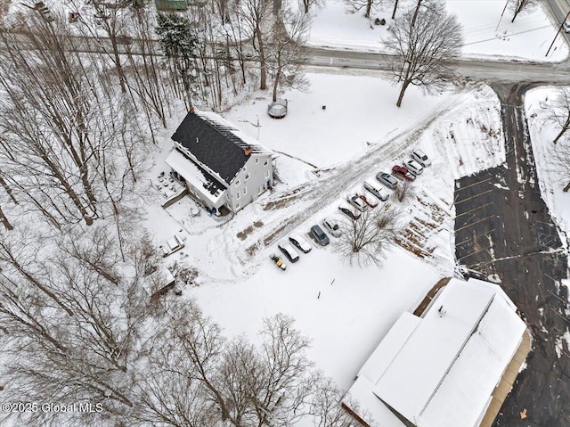 view of snowy aerial view
