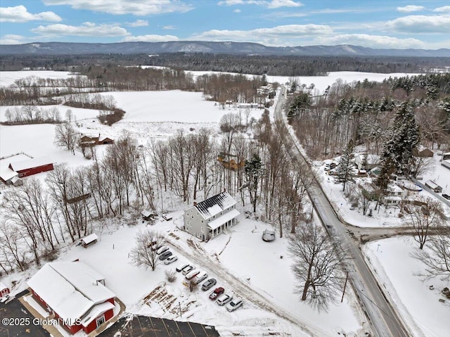 snowy aerial view with a mountain view