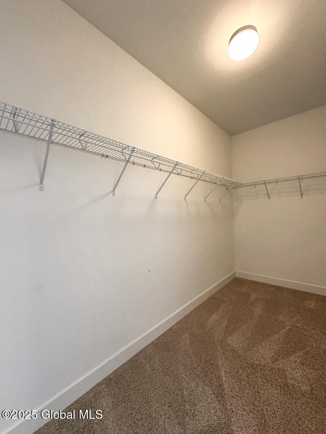 walk in closet with carpet flooring