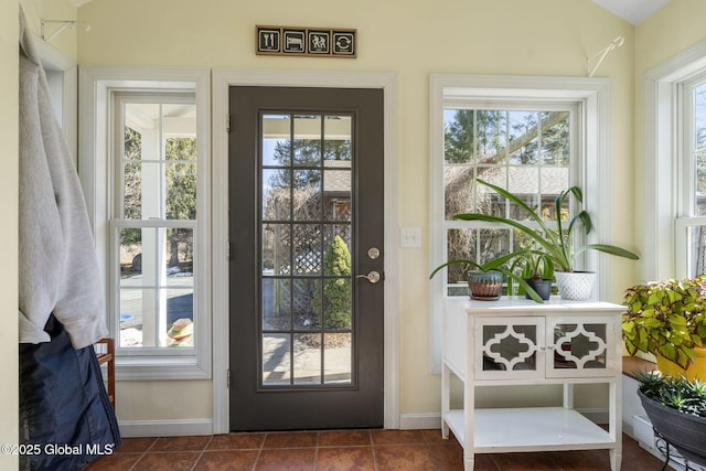 entryway featuring dark tile patterned flooring, a wealth of natural light, and baseboards