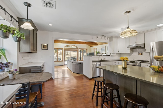 kitchen featuring visible vents, backsplash, appliances with stainless steel finishes, a sink, and under cabinet range hood