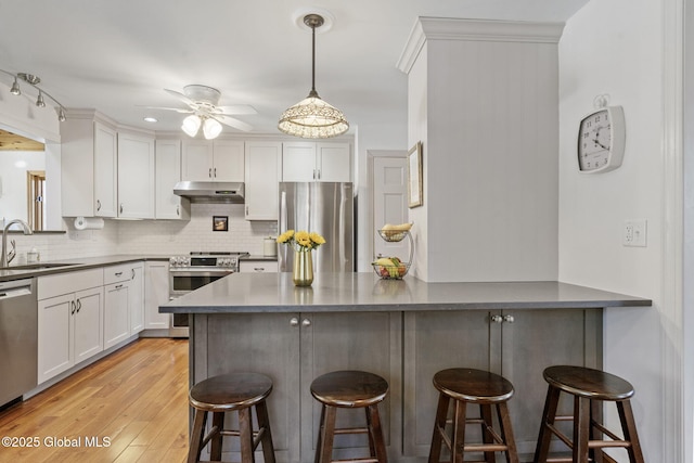 kitchen with stainless steel appliances, a sink, under cabinet range hood, and a breakfast bar area