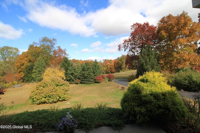 view of community featuring a wooded view and a yard