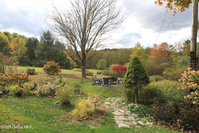 view of yard featuring a fire pit and a wooded view