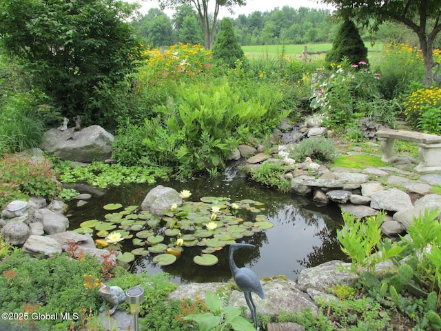 view of local wilderness with a garden pond