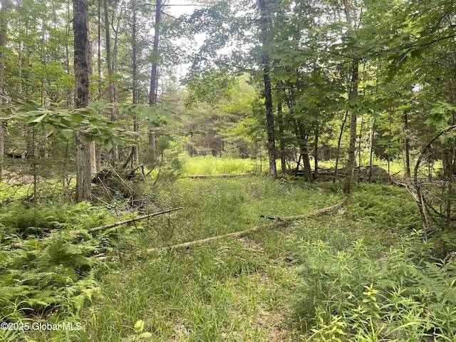 L34 Lane Rd, Chester NY, 12853 land for sale