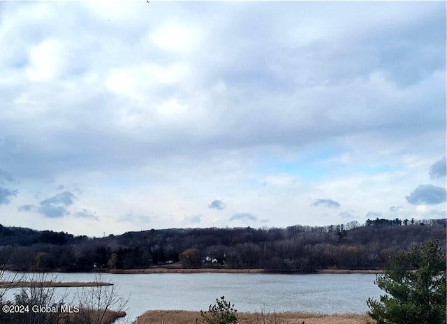 view of water feature with a wooded view