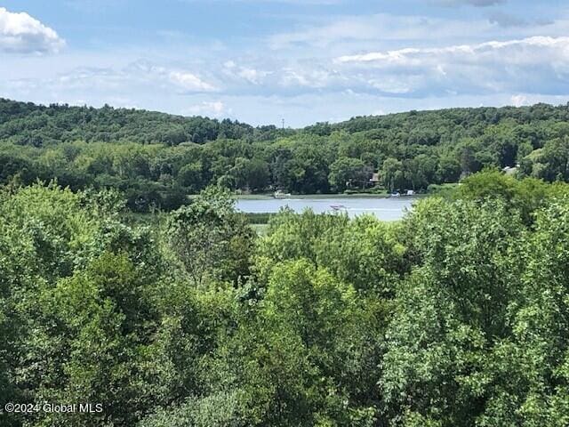 aerial view with a water view and a view of trees