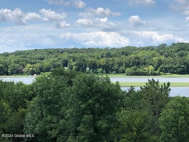 drone / aerial view featuring a water view and a wooded view