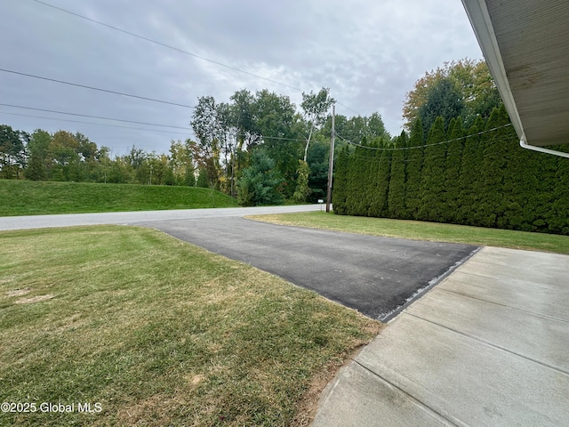 view of road featuring aphalt driveway