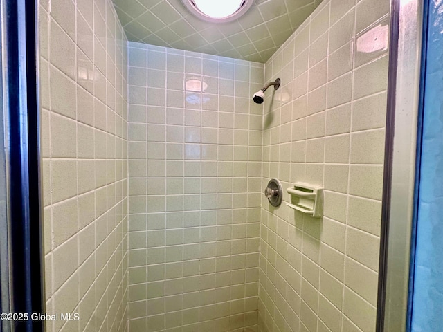 bathroom with a shower stall