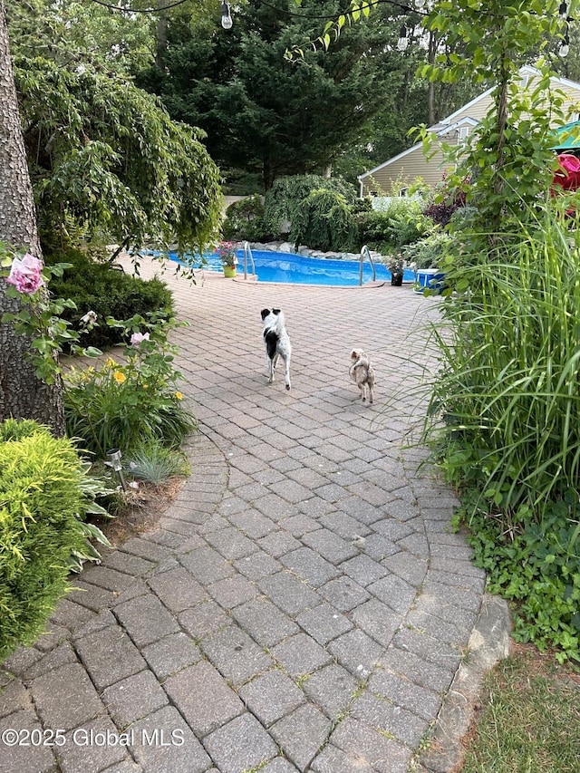 pool featuring a patio