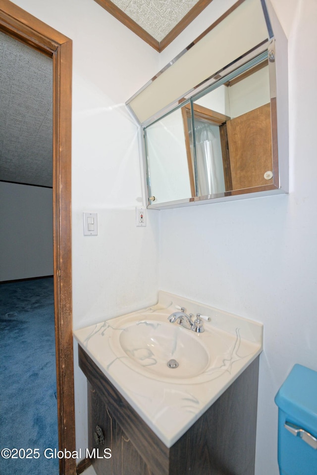 bathroom with toilet and vanity