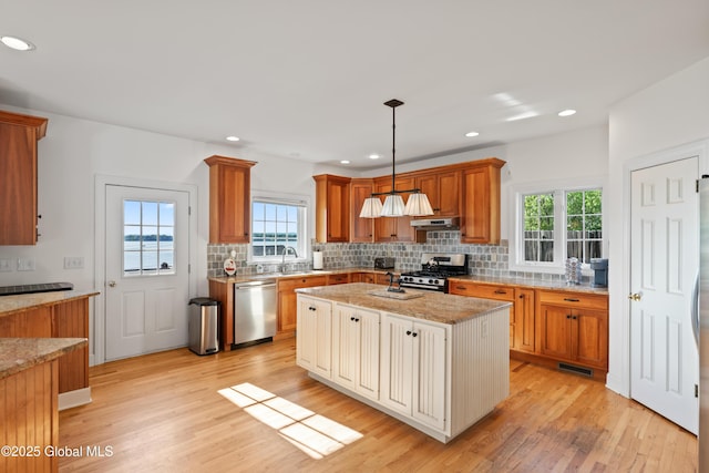 kitchen featuring tasteful backsplash, light wood-style floors, stainless steel appliances, under cabinet range hood, and a sink