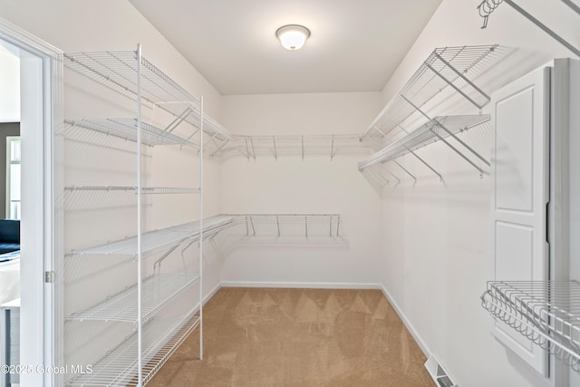 walk in closet with carpet and visible vents