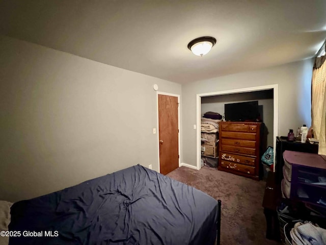 bedroom featuring carpet flooring