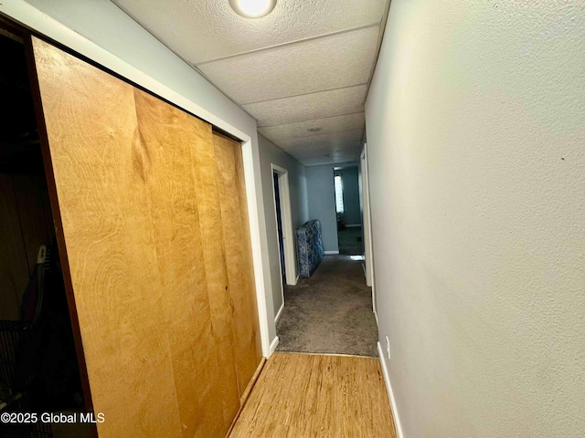 hall featuring light wood finished floors, a paneled ceiling, and baseboards