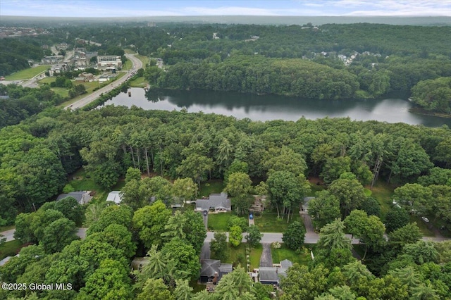 drone / aerial view with a water view and a view of trees