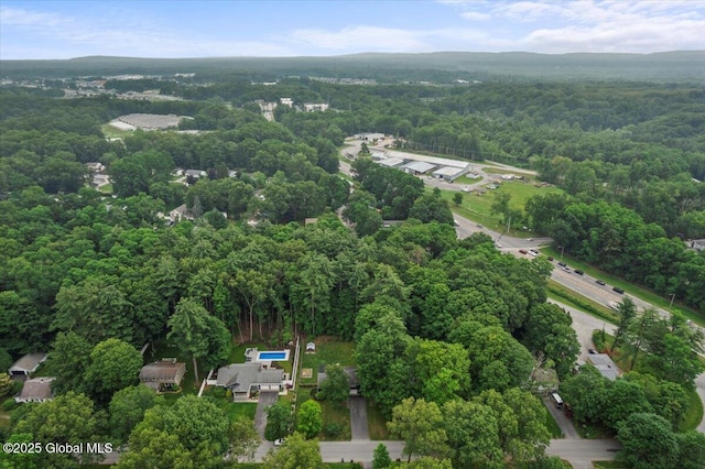 bird's eye view with a forest view