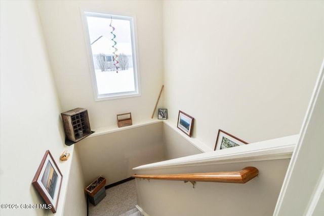 stairway with carpet