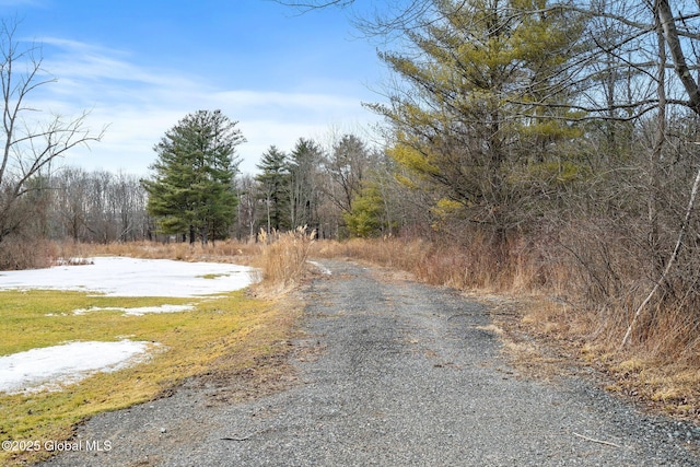 2643 Brookview Rd, Schodack NY, 12033 land for sale