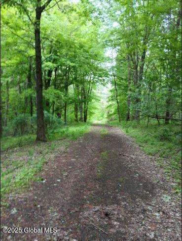 L24.2 Switzer Hill Rd, Mohawk, NY 12068