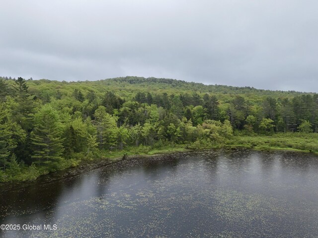191 Gifford Valley Rd Lot 30, Northampton, NY 12134