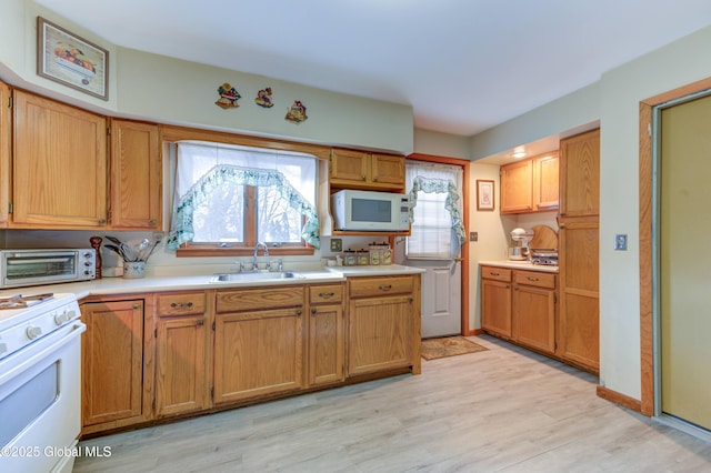 kitchen featuring a sink, white appliances, light countertops, and light wood-type flooring