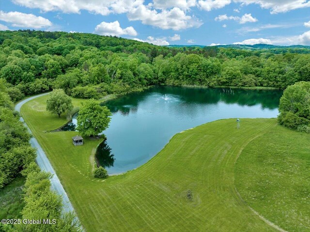 311 County Route 13, Chatham, NY 12136 - photo 55