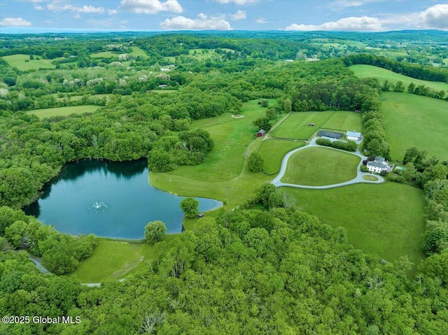311 County Route 13, Chatham, NY 12136 - photo 83