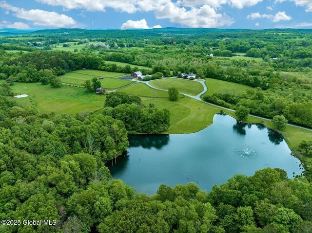 311 County Route 13, Chatham, NY 12136 - photo 23