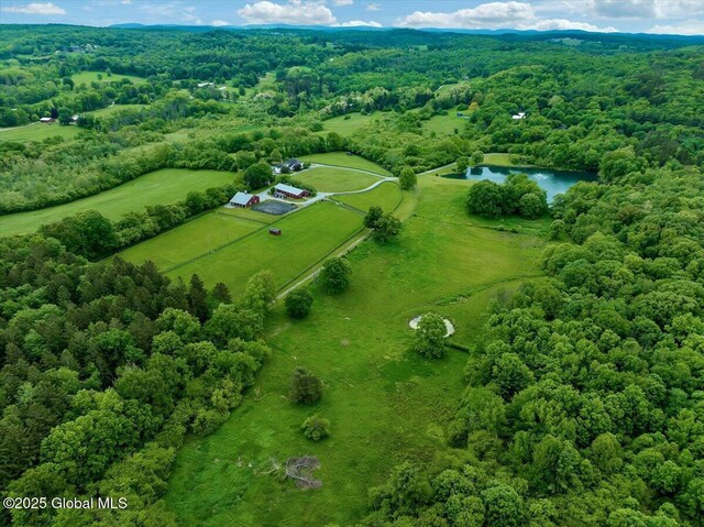 311 County Route 13, Chatham, NY 12136 - photo 41