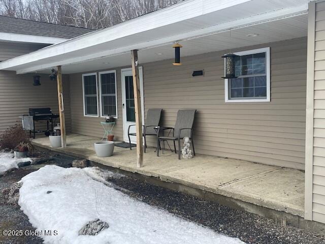 view of patio / terrace with a porch and area for grilling