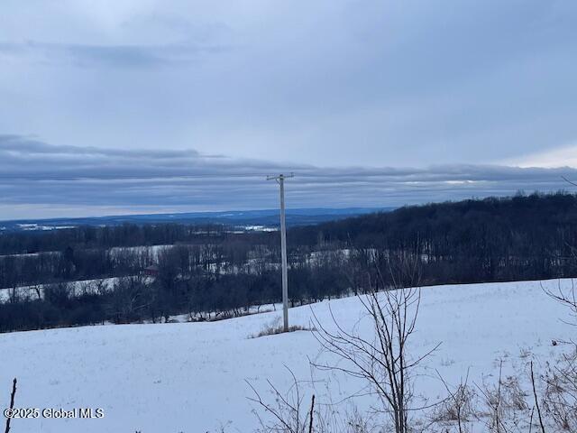 property view of mountains with a wooded view