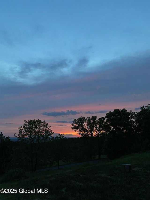 view of nature at dusk