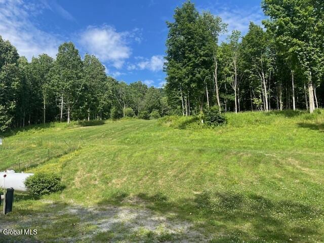 90 Mountain Rd, Greenwich, NY 12834 - photo 74