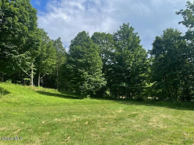 90 Mountain Rd, Greenwich, NY 12834 - photo 75