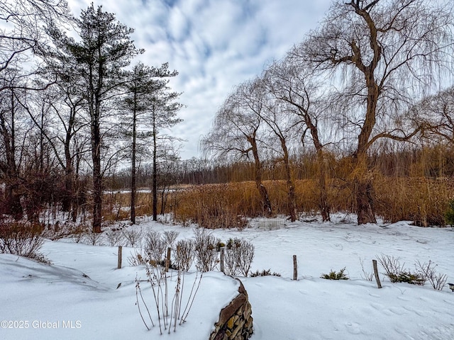 view of yard layered in snow