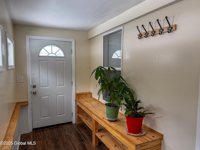 entrance foyer with dark wood-style flooring