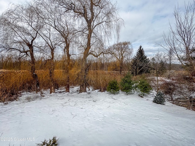 view of snowy yard