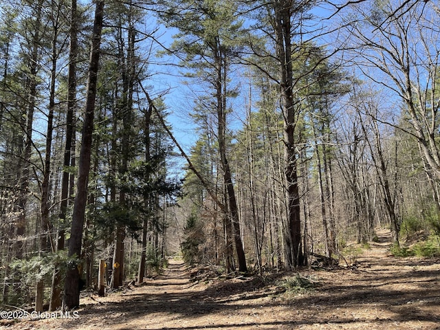 L14L15 Butler Pond Rd, Queensbury, NY 12804