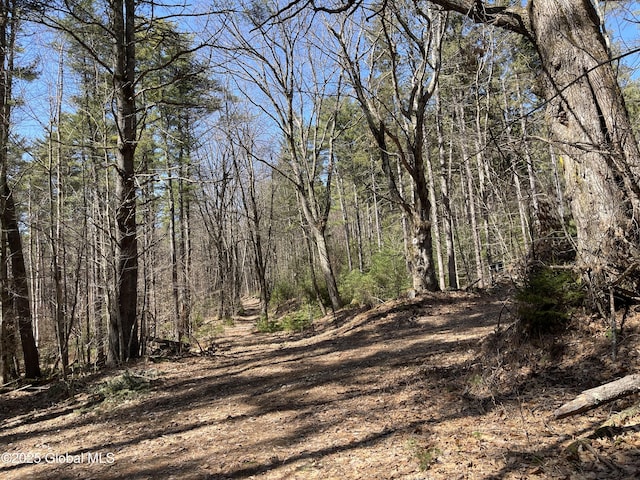L14L15 Butler Pond Rd, Queensbury, NY 12804