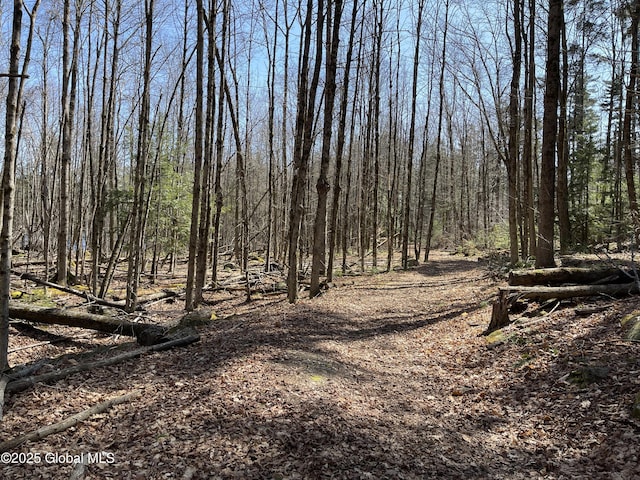 L14L15 Butler Pond Rd, Queensbury, NY 12804