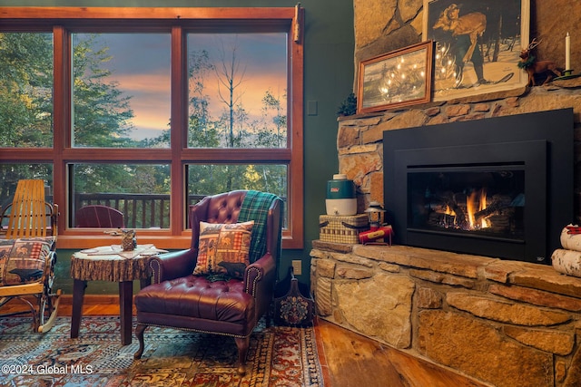 living area featuring a fireplace and wood finished floors