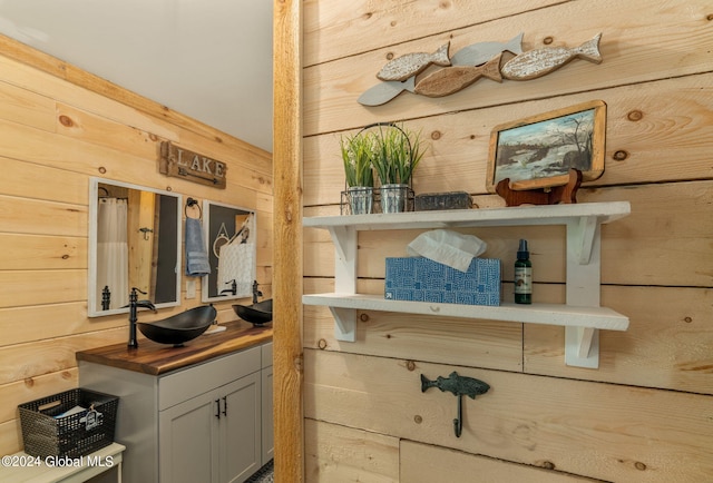 details featuring wood walls and a sink